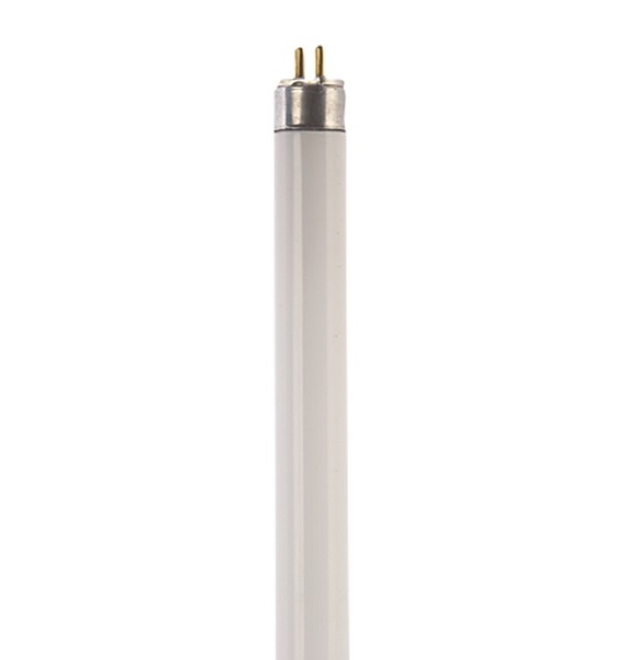 AIRL49840.jpg