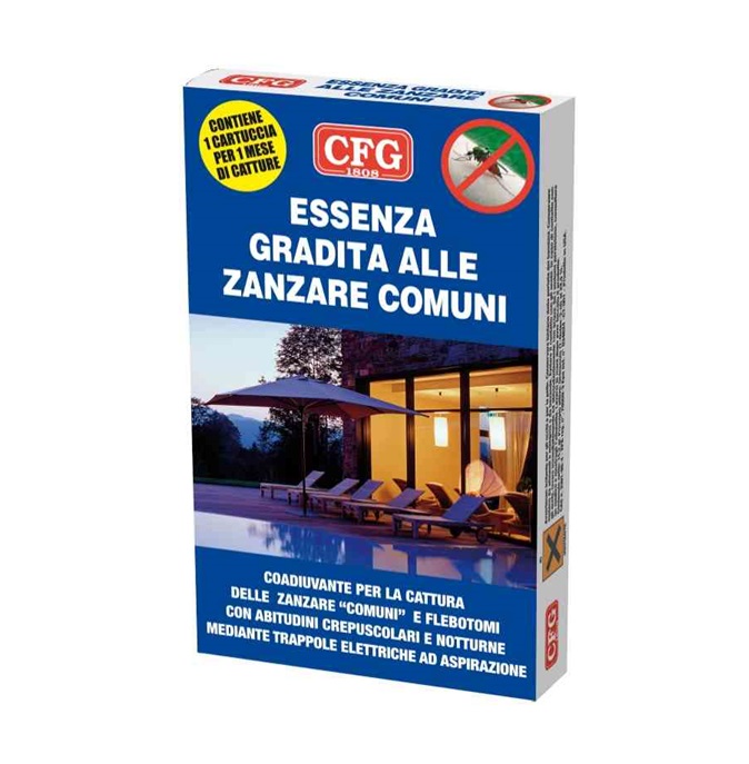 CFGH00070.jpg